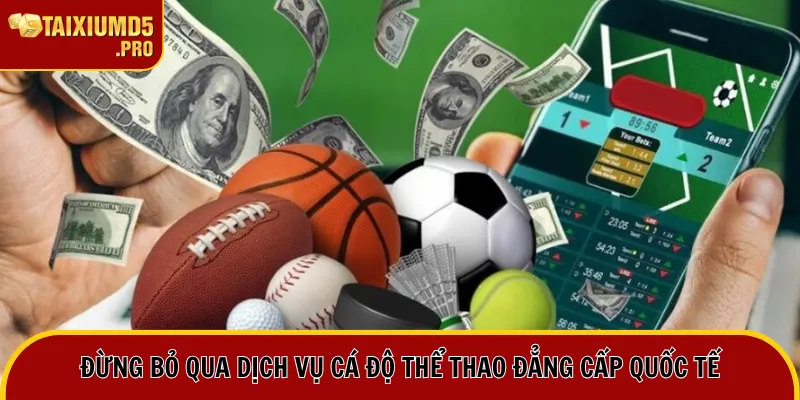 Nhà Cái Go88 - Địa Chỉ Cung Cấp Cá Cược Đáng Trải Nghiệm 1 Đừng bỏ qua dịch vụ cá độ thể thao đẳng cấp quốc tế